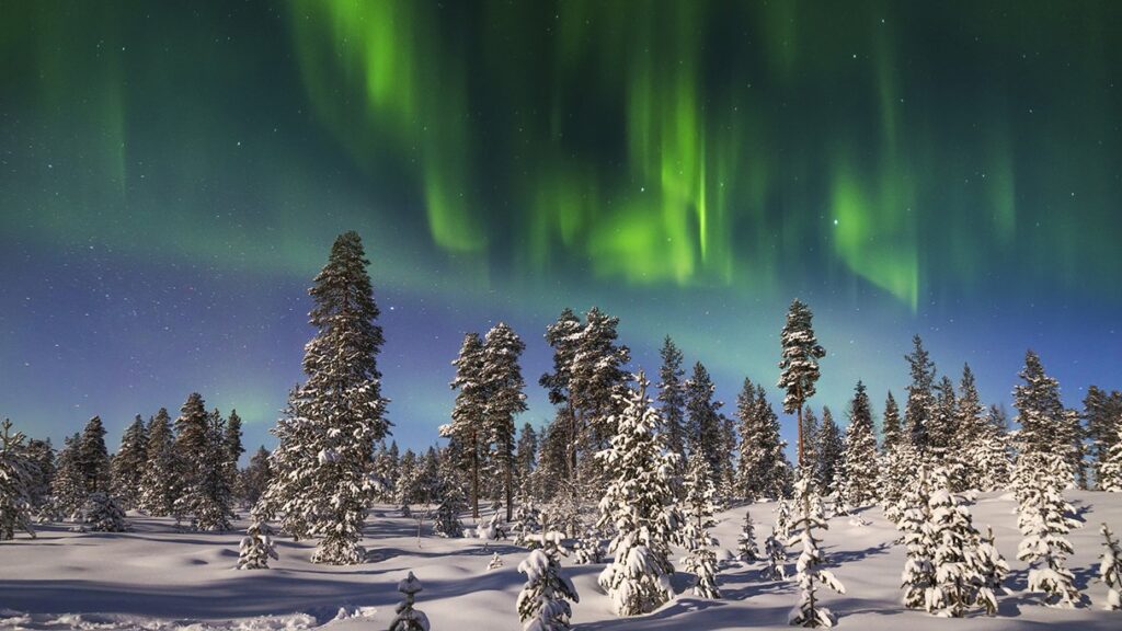 unico-visa-giang-sinh-quoc-te